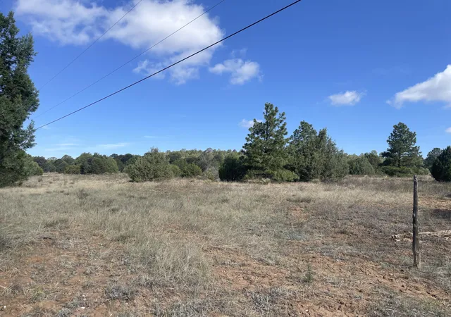 4th image of 119 Anaya Rd, Tijeras, NM 87059 | MLS# 1107978