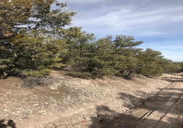Photo 3 of Land for sale at 6 Vista Alta Dr, Tijeras, NM 87059 | MLS# 1108028 | Listing updated on 2026-07-27
