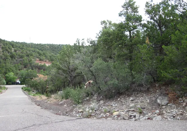 1st image of 0 Beaver Ln, Cedar Crest, NM 87008 | MLS# 1108136