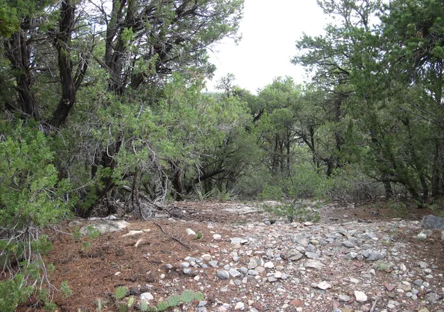 Photo 3 of Land for sale at 0 Beaver Ln, Cedar Crest, NM 87008 | MLS# 1108136 | Listing updated on 2026-07-29