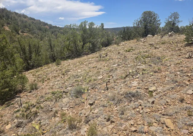 Photo 3 of Land for sale at 2 Lakeview Dr, Sandia Park, NM 87047 | MLS# 1108213 | Listing updated on 2026-08-26