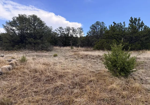 1st image of Lot 8 Horseshoe Bend Rd, Edgewood, NM 87015 | MLS# 1108230