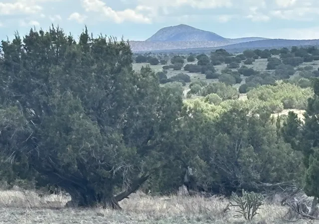 Photo 2 of Land for sale at Lot 24 Pinon Springs Rd, Magdalena, NM 87825 | MLS# 1108262 | Listing updated on 2026-08-04