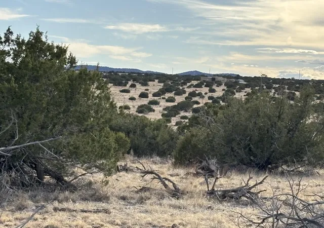 Photo 4 of Land for sale at Lot 24 Pinon Springs Rd, Magdalena, NM 87825 | MLS# 1108262 | Listing updated on 2026-08-04
