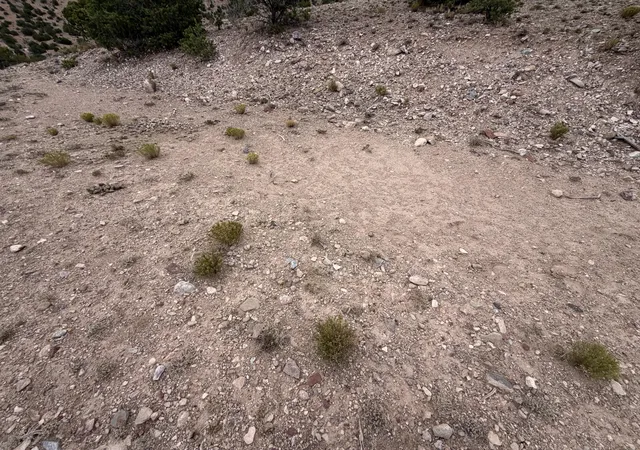 4th image of Caballo Palido, Placitas, NM 87043 | MLS# 1108314