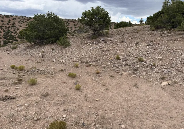 5th image of Caballo Palido, Placitas, NM 87043 | MLS# 1108314