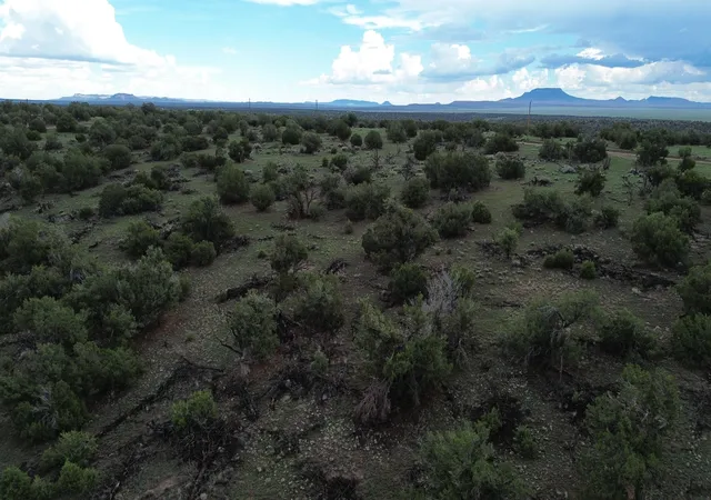 Photo 3 of Land for sale at Lot 78 Big Chief Rd, Quemado, NM 87829 | MLS# 1108337 | Listing updated on 2026-08-03