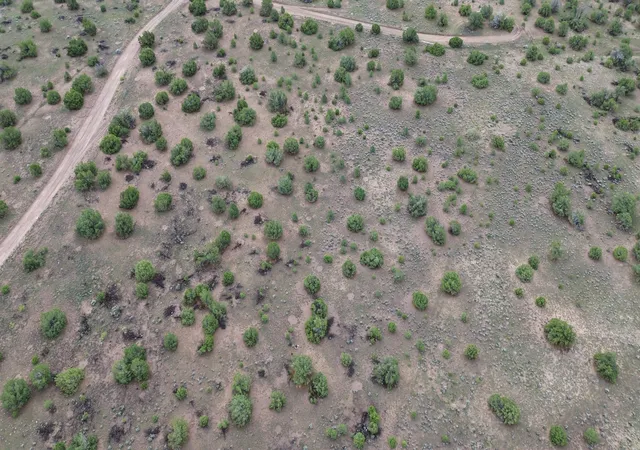 Photo 3 of Land for sale at Lot 47 Running Bear Blvd, Quemado, NM 87829 | MLS# 1108341 | Listing updated on 2026-08-19