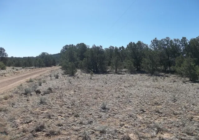 Photo 3 of Land for sale at 10 Camino De Fusilero Rd, Ramah, NM 87321 | MLS# 1107664 | Listing updated on 2026-08-01