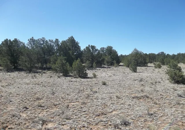 Photo 3 of Land for sale at 10 Camino De Fusilero Rd, Ramah, NM 87321 | MLS# 1107664 | Listing updated on 2026-08-01