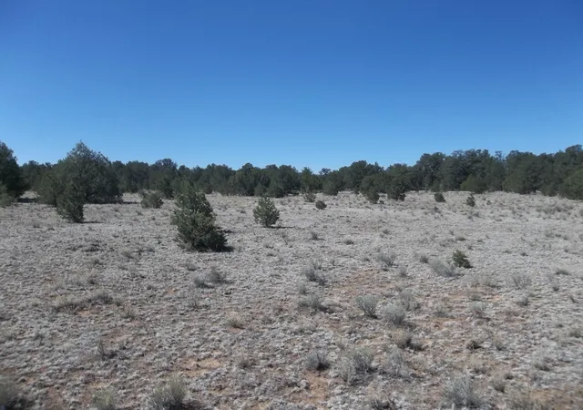 Photo 4 of Land for sale at 10 Camino De Fusilero Rd, Ramah, NM 87321 | MLS# 1107664 | Listing updated on 2026-08-01