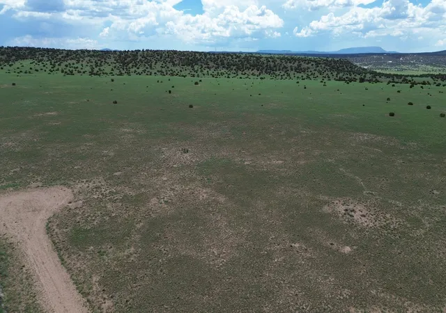 Photo 1 of Land for sale at Lot 169 Deer Cir, Quemado, NM 87829 | MLS# 1108422 | Listing updated on 2026-08-03