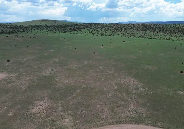 Photo 2 of Land for sale at Lot 169 Deer Cir, Quemado, NM 87829 | MLS# 1108422 | Listing updated on 2026-08-03