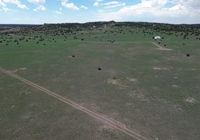 Photo 2 of Land for sale at Lot 169 Deer Cir, Quemado, NM 87829 | MLS# 1108422 | Listing updated on 2026-08-03