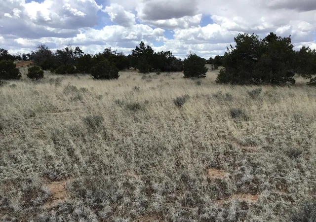 Photo 1 of Land for sale at Lots 38 39 Country Ln, Ramah, NM 87321 | MLS# 1108424 | Listing updated on 2026-08-05