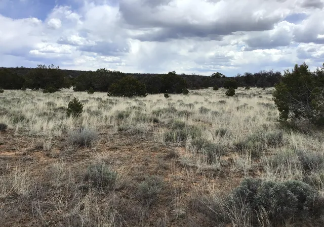 Photo 25 of Land for sale at Lots 38 39 Country Ln, Ramah, NM 87321 | MLS# 1108424 | Listing updated on 2026-08-05