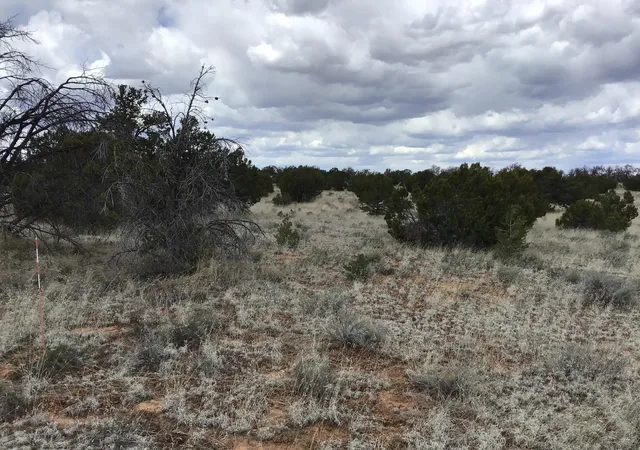 Photo 3 of Land for sale at Lots 38-39 Country Ln, Ramah, NM 87321 | MLS# 1108424 | Listing updated on 2026-08-05