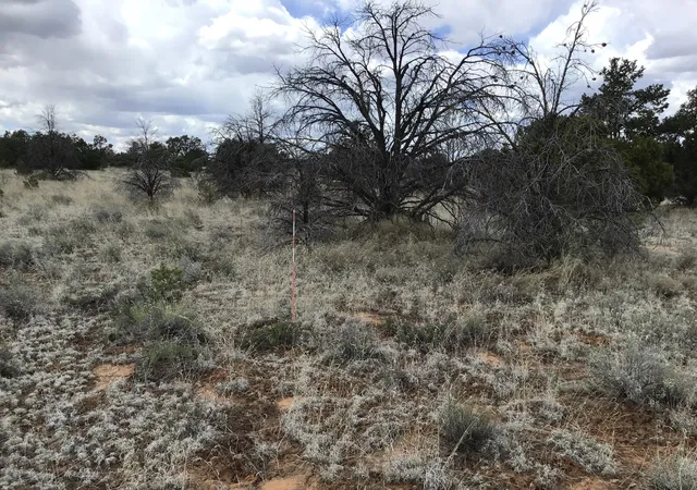 Photo 4 of Land for sale at Lots 38-39 Country Ln, Ramah, NM 87321 | MLS# 1108424 | Listing updated on 2026-08-05