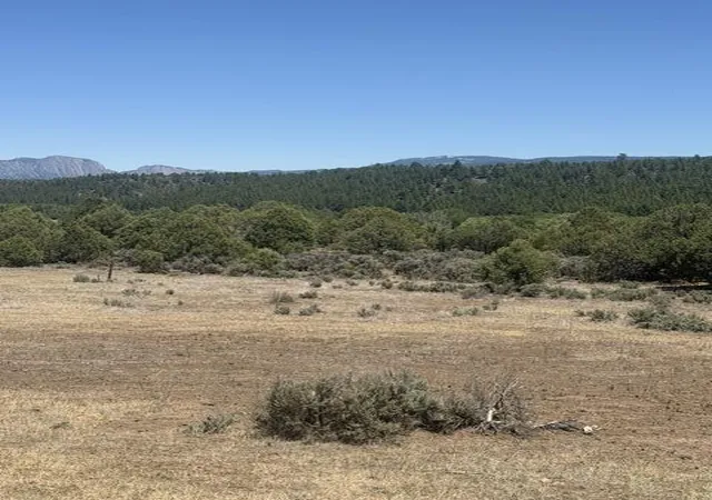 Photo 3 of Single family home for sale at 49a Heron P1 49a Private Rd, Los Ojos, NM 87551 | MLS# 1108436 | Listing updated on 2026-08-03