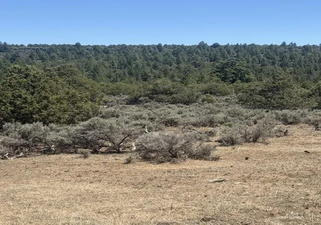 Photo 4 of Single family home for sale at 49a Heron P1 49a Private Rd, Los Ojos, NM 87551 | MLS# 1108436 | Listing updated on 2026-08-03