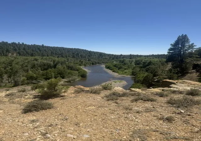 Photo 5 of Single family home for sale at 49a Heron P1 49a Private Rd, Los Ojos, NM 87551 | MLS# 1108436 | Listing updated on 2026-08-03