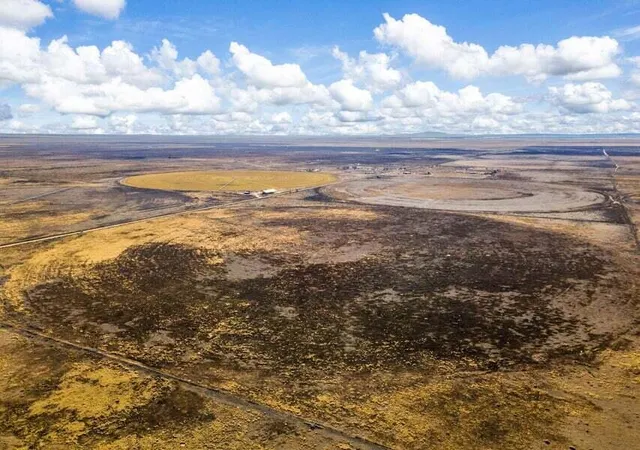Photo 4 of Land for sale at Co Rd A 134, Mc Intosh, NM 87032 | MLS# 1108455 | Listing updated on 2026-08-03