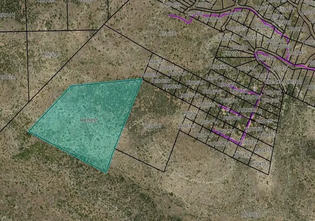Photo 1 of Land for sale at Canon Del Pino Rd, Estancia, NM 87016 | MLS# 1108459 | Listing updated on 2026-08-03