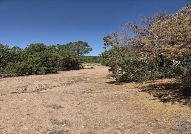 Photo 3 of Land for sale at 271 Genevieve Dr, Tijeras, NM 87059 | MLS# 1108755 | Listing updated on 2026-08-13