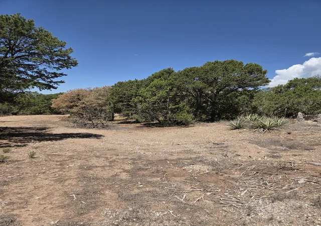 Photo 4 of Land for sale at 271 Genevieve Dr, Tijeras, NM 87059 | MLS# 1108755 | Listing updated on 2026-08-13