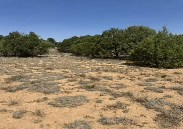 Photo 2 of Land for sale at 39 Quail Holw Rd, Tijeras, NM 87059 | MLS# 1108834 | Listing updated on 2026-08-09