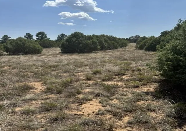 Photo 3 of Land for sale at 39 Quail Holw Rd, Tijeras, NM 87059 | MLS# 1108834 | Listing updated on 2026-08-09