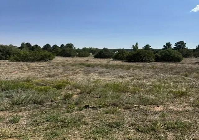 Photo 4 of Land for sale at 39 Quail Holw Rd, Tijeras, NM 87059 | MLS# 1108834 | Listing updated on 2026-08-09