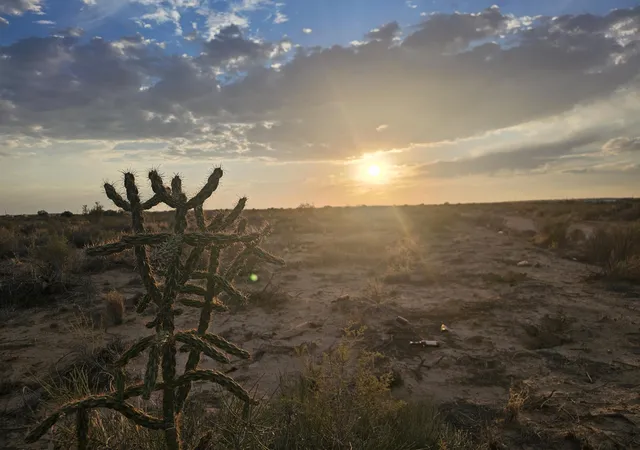 Photo 1 of Land for sale at 1206 Goya Rd Sw, Rio Rancho, NM 87124 | MLS# 1108848 | Listing updated on 2026-08-12