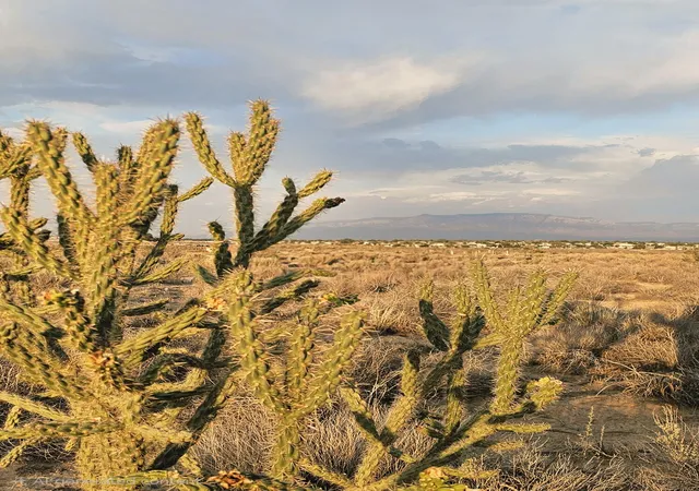 Photo 3 of Land for sale at 1206 Goya Rd SW, Rio Rancho, NM 87124 | MLS# 1108848 | Listing updated on 2026-08-12