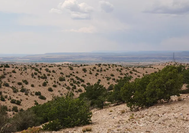 Photo 2 of Land for sale at Flying Dog Rd, Placitas, NM 87043 | MLS# 1108879 | Listing updated on 2026-08-10