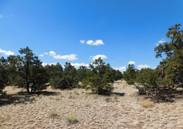 Photo 1 of Land for sale at 15 River Ln, Quemado, NM 87829 | MLS# 1108956 | Listing updated on 2026-08-12