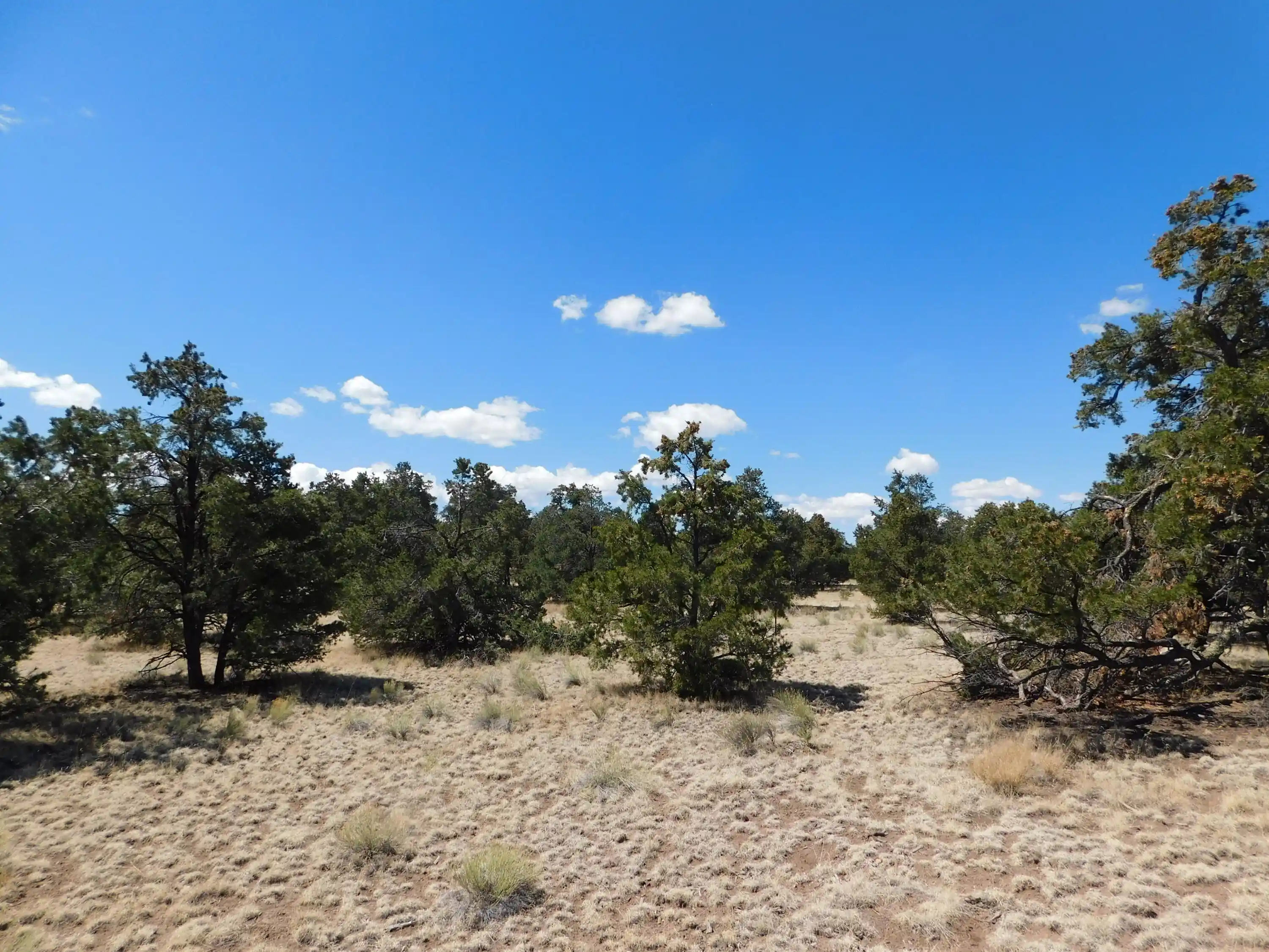 Photo 1 of Land for sale at 15 River Ln, Quemado, NM 87829 | MLS# 1108956 | Listing updated on 2026-10-20