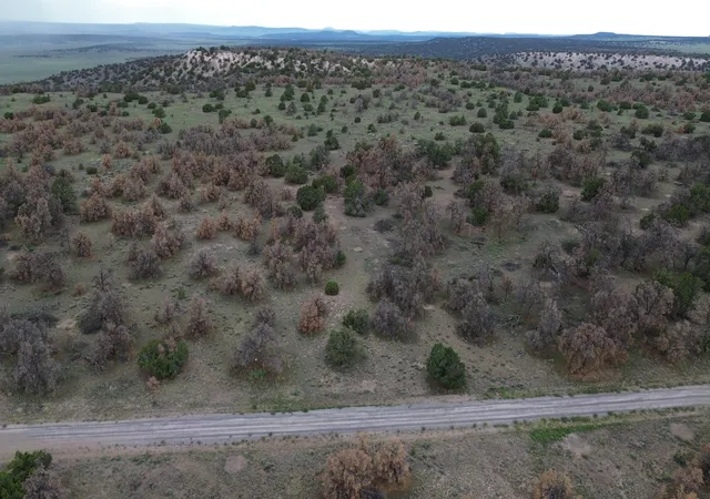 Photo 21 of Land for sale at 15 River Ln, Quemado, NM 87829 | MLS# 1108956 | Listing updated on 2026-08-12