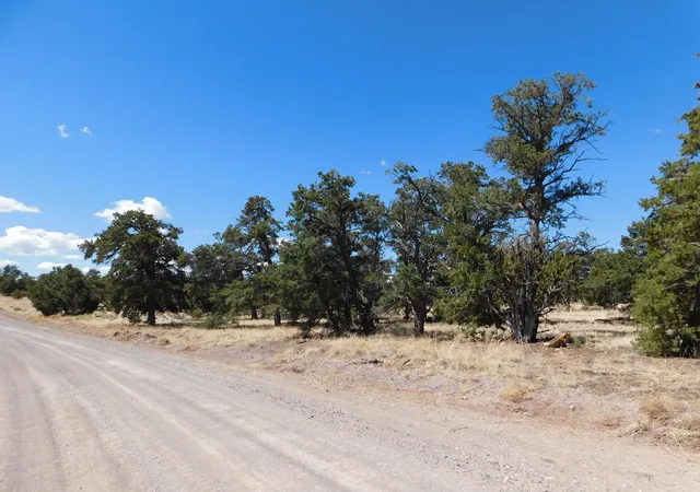 Photo 3 of Land for sale at 15 River Ln, Quemado, NM 87829 | MLS# 1108956 | Listing updated on 2026-08-12