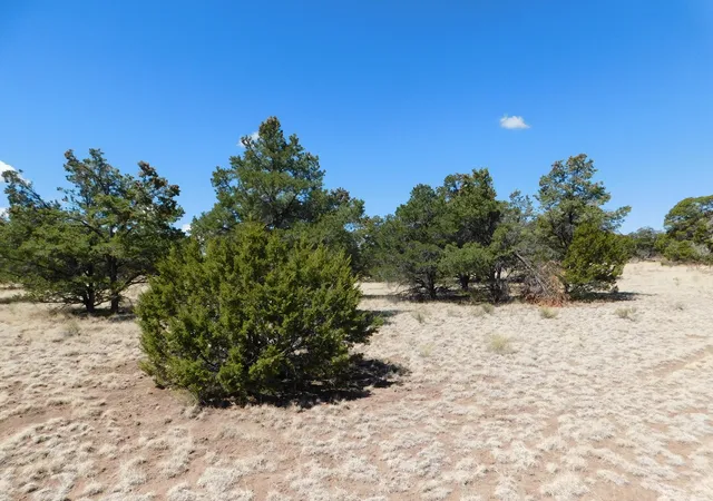 Photo 4 of Land for sale at 15 River Ln, Quemado, NM 87829 | MLS# 1108956 | Listing updated on 2026-08-12