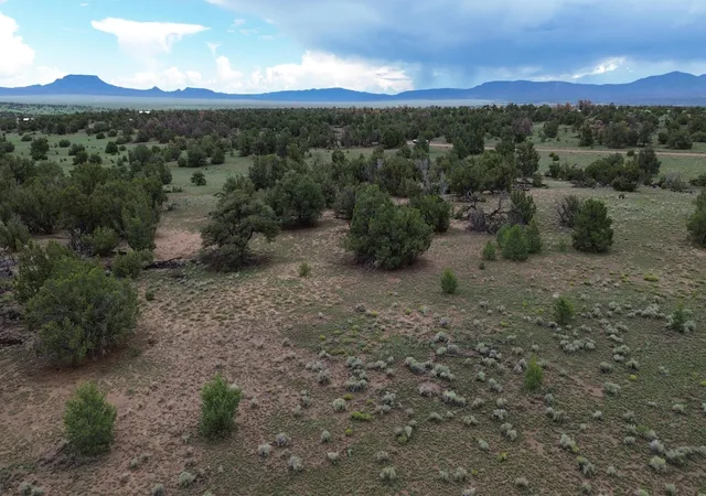Photo 3 of Land for sale at Lot 36 Arrow Ln, Quemado, NM 87829 | MLS# 1108965 | Listing updated on 2026-08-12
