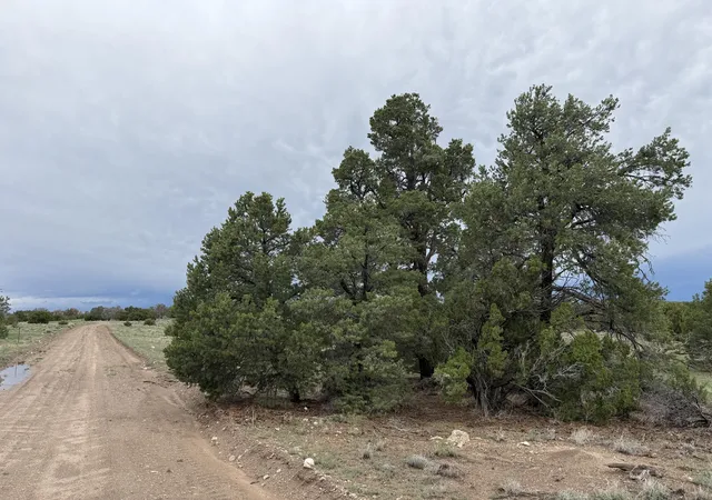 Photo 3 of Land for sale at Lot 36 Arrow Ln, Quemado, NM 87829 | MLS# 1108965 | Listing updated on 2026-08-12