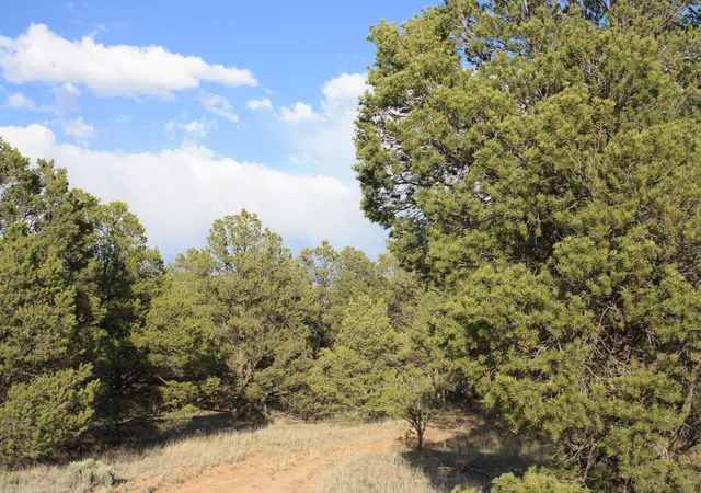 Photo 3 of Land for sale at 7 Branding Iron Rd, Pinehill, NM 87357 | MLS# 1108992 | Listing updated on 2026-08-12
