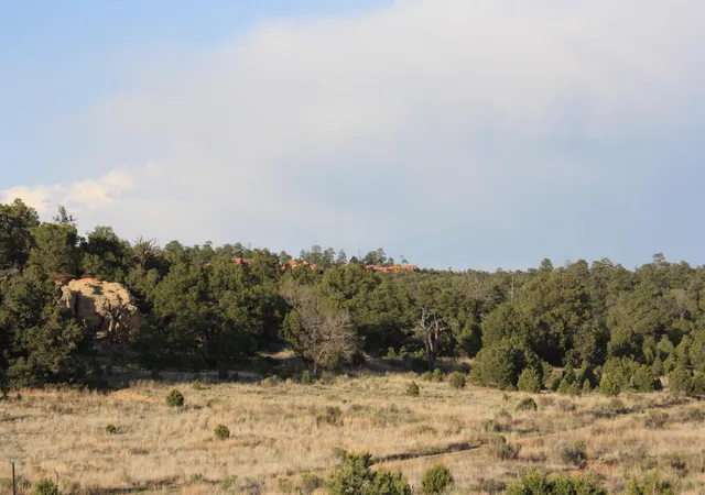 Photo 4 of Land for sale at 7 Branding Iron Rd, Pinehill, NM 87357 | MLS# 1108992 | Listing updated on 2026-08-12