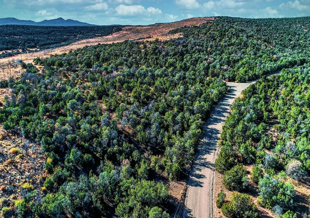 Photo 1 of Land for sale at Twin Peaks Dr, Estancia, NM 87016 | MLS# 1109027 | Listing updated on 2026-08-13