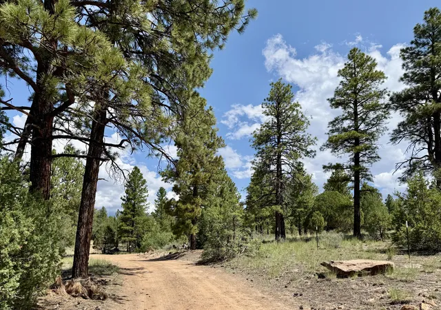 Photo 1 of Land for sale at 3 Leaning Pine Ln, Pinehill, NM 87357 | MLS# 1109137 | Listing updated on 2026-08-18
