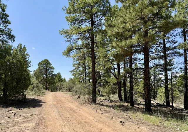 Photo 2 of Land for sale at 3 Leaning Pine Ln, Pinehill, NM 87357 | MLS# 1109137 | Listing updated on 2026-08-18