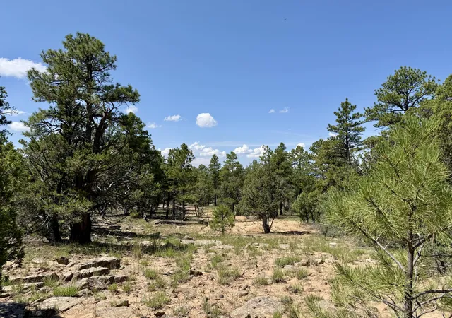 Photo 2 of Land for sale at 3 Leaning Pine Ln, Pinehill, NM 87357 | MLS# 1109137 | Listing updated on 2026-08-18