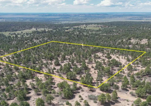 Photo 43 of Land for sale at 3 Leaning Pine Ln, Pinehill, NM 87357 | MLS# 1109137 | Listing updated on 2026-08-18