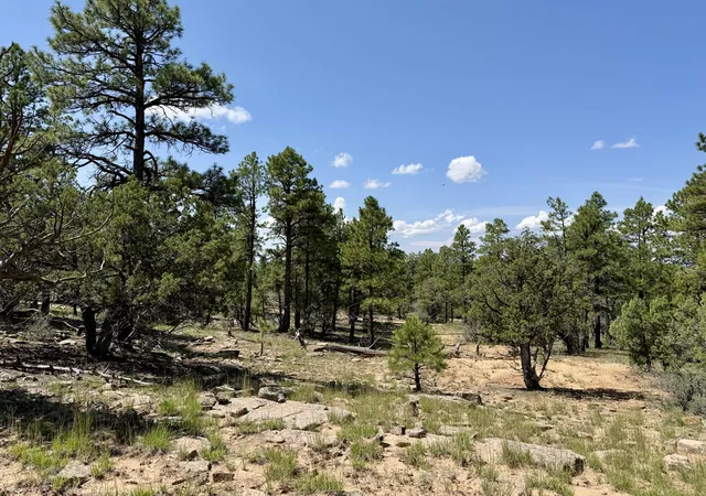 Photo 3 of Land for sale at 3 Leaning Pine Ln, Pinehill, NM 87357 | MLS# 1109137 | Listing updated on 2026-08-18